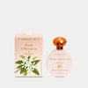 FIORI D'ARANCIO Eau de Parfum