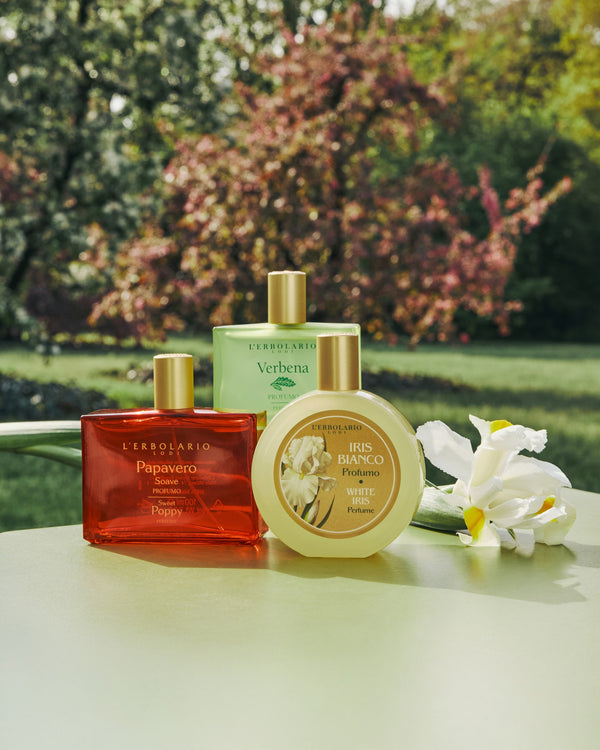 Entdecken Sie alle Eau de Parfums