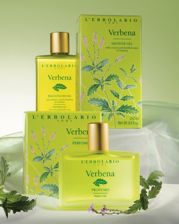 Unsere beliebteste Linie für SIE und IHN: Verbena
