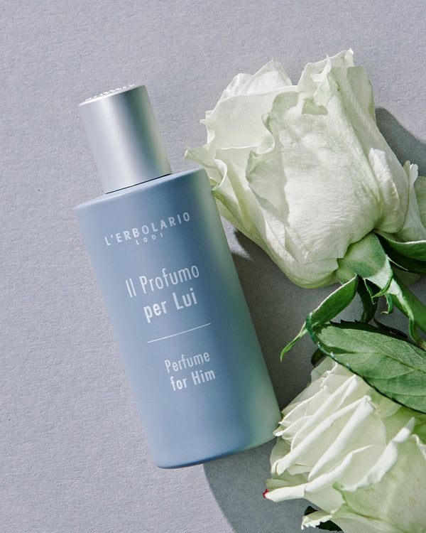 Alle Herrenparfums