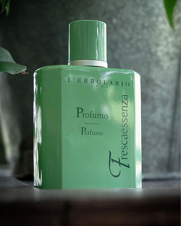 Holzige Parfums: Entdecken Sie die besten Düfte