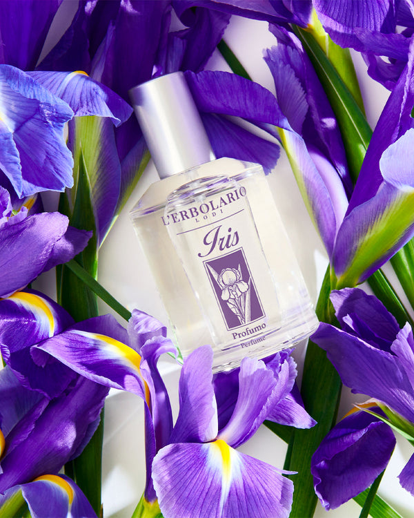 Iris: die Königin unserer Düfte